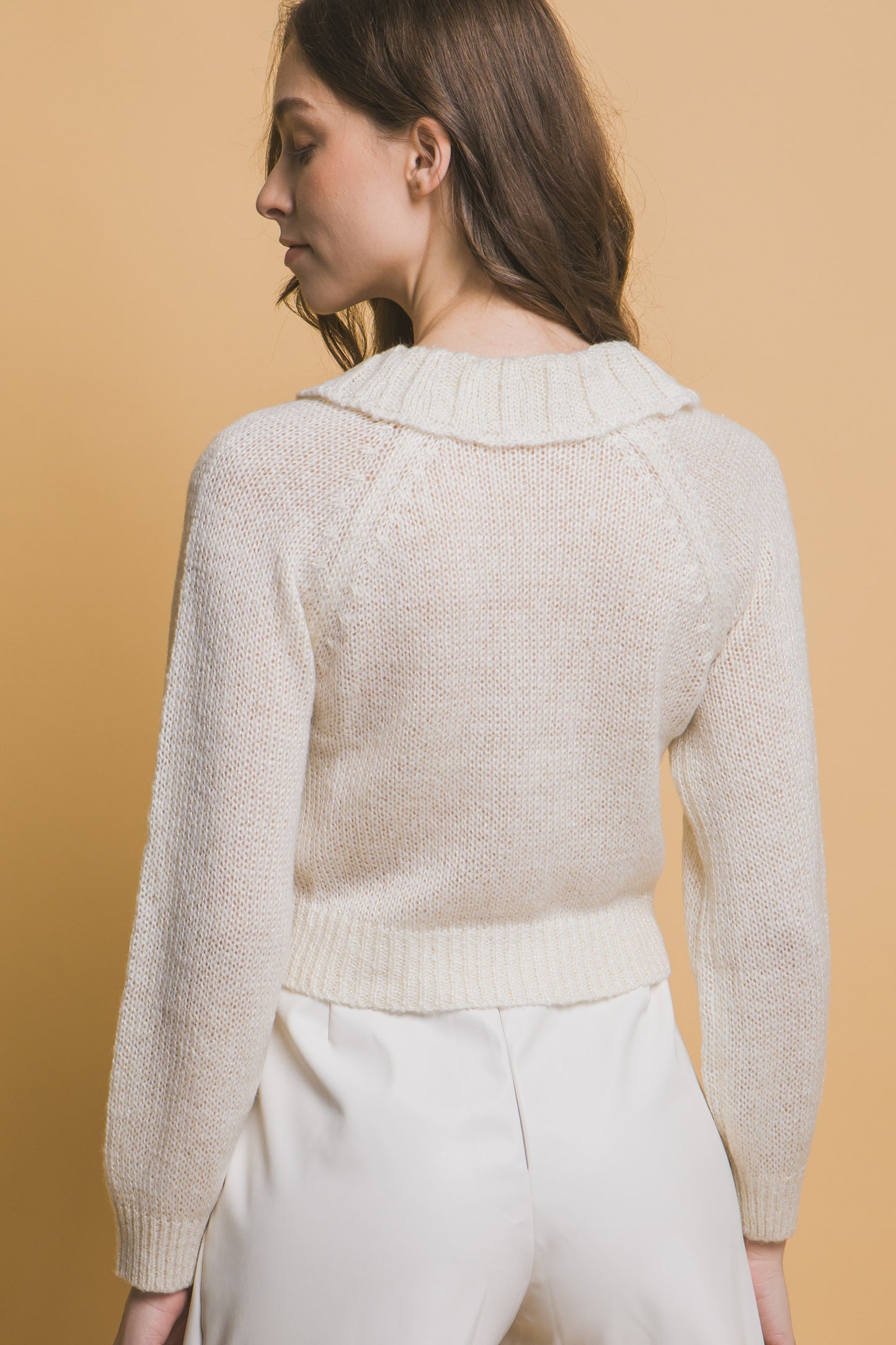 Short Collared Sweater