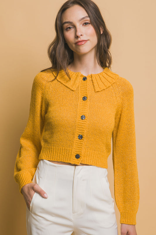 Short Collared Sweater